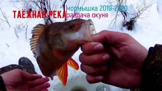 Рыбалка на мормышку,окунь клюёт как бешеный.