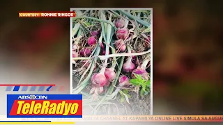 Mga bodega ng sibuyas pinaiinspeksyon ng mga magsasaka sa harap ng taas-presyo | Headline Pilipinas