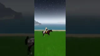 Enemy-Wild Horse Islands Edit-Flash Warning