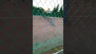 Здравствуй большой теннис