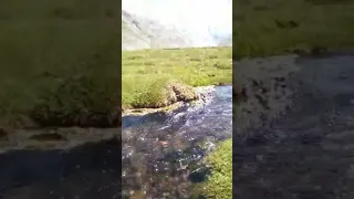 Chitral Arkari over Akram gass