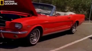 Ford Mustang : History