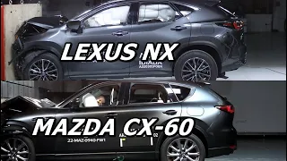 2022 Lexus NX vs 2022 Mazda CX-60 Crash Test