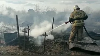 Пожарные борются с огнём в челнинском СНТ "Кама"