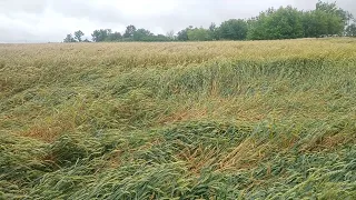 Потрібна ваша допомога.