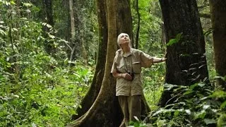 Jane Goodall's mission to save humans as well as chimps