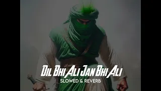 Dil Bhi Ali Jan Bhi Ali | Amjad Baltistani | Slowed & Reverb | 13 Rajab | New Manqabat 2024