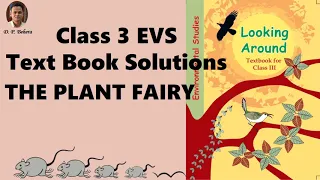 THE PLANT FAIRY | Chapter 2 | Class 3 EVS Textbook  Solutions | NCERT | CBSE |