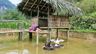 7 Days Building Bamboo House on Water Surface, Make a Bridge & Start To Finish | LTC