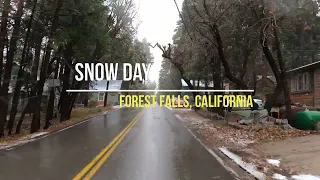 Snow Day | Forest Falls CA