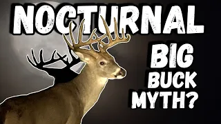 Nocturnal Bucks - FACT or FICTION?? w/MSU Deer Lab