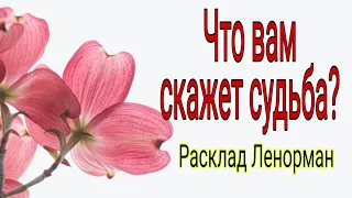 Что вам скажет судьба? | Таро Онлайн | Тайна Жрицы |