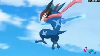 INTO YOUR ARMS 🙂 GRENINJA AND ASH STATUS