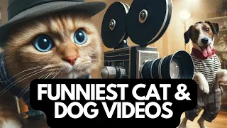 Funniest Cats And Dogs Videos 😁 - Best Funny Videos