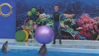 Дельфинарий Оскар в Геническе  Полное выступление дельфинов