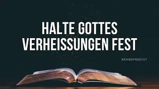 Halte Gottes Verheissungen fest | Matthias Brandtner | #brandpredigt