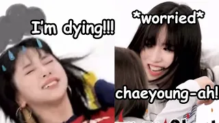Chaeyoung almost faint Mina is so worried, Sana is dying too ft. michaeng