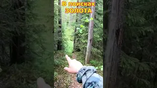 ищу ЗОЛОТОЙ ручей