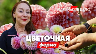 Как заработать на цветочной грядке? Монолог владелицы фермы