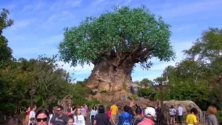 Disney's Animal Kingdom 2018 Tour and Overview | Walt Disney World