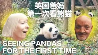 CHENGDU My Parents see Pandas for the first time ever