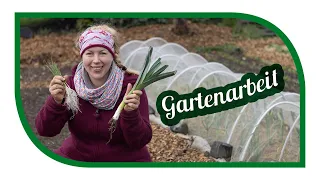 Wichtige Gartenarbeiten im Gemüsegarten im April mit Gärtner | Möhren Anbau | Porree Anbau