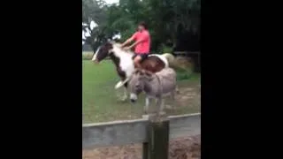 Epic fail - drunk guy falls off horse funny