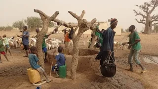 Sénégal: Reportage sur le village de keur Samba Ka | Région de Kaolack