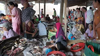 Morning Food Market @Countryside - Plenty Lake Fish, River Fish, Vegetable, Pork & More in PrekTatun