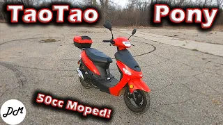 2018 Taotao Pony 50cc Moped – Ownership Update