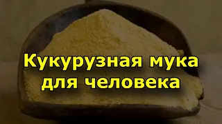 Кукурузная мука - польза для человека, Кукурузная каша для ребенка