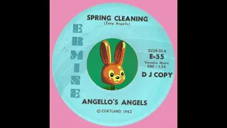 Angelo's Angels - Spring Cleaning