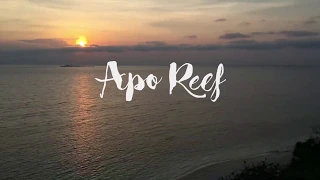 Apo Reef Natural Park | Travel Video