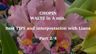 2/3🌸Best tips *Chopin Waltz in A Minor | Part 2/3 with Liana