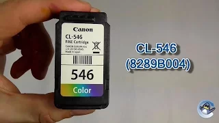 How to Refill Canon CL-546 (8289B004) Colour Ink Cartridge