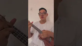 Despedida de casal cover ukulele - Gustavo mioto