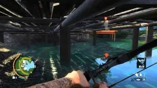 Far Cry 3 Tequila sunrise - Outpost Master level with a bow