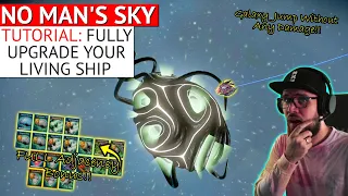 How to Fully Upgrade your Living Ship in No Man's Sky