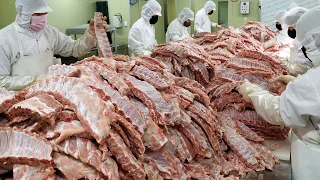 전국에 매장만 150개! 하루 3000kg 생산하는 독보적인 쪽갈비 바베큐 대량생산 공장 amazing korean barbecue pork loin ribs BBQ factory