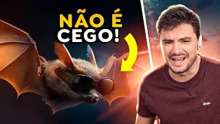 MENTIRAS DO REINO ANIMAL QUE VOCÊ ACREDITA!