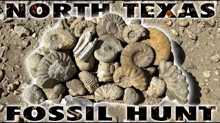 One of our BEST Fossil Hunting trips EVER - April 2024 - North Texas Creeks