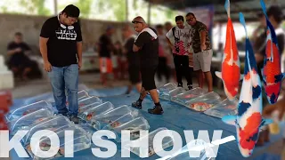 AMAZING KOI FISH KOI SHOW in the PHILIPPINES CKJ KOI FARM