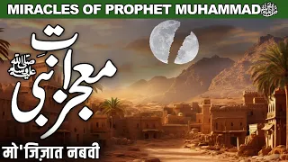 Hazrat Muhammad SAW Ky Mojzat |  Mojzat e Nabi SAW | Miracles Of  Muhammad | Noor Islamic