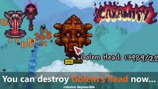 Terraria Bosses + Calamity mod = illogic that you never heard of...