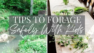 Foraging for Wild Edibles & Flowers | Safety Tips with kids