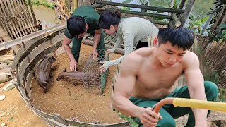 Together my husband and I constructed a bamboo pig pen from beginning to end.