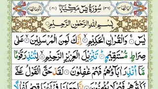 Surah Yaseen | Yasin | Ep 497 | Daily Quran Tilawat Surah Yasin Surah Rahman Surah yasin yaseen
