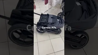 Детская прогулочная коляска Carrello Alfa