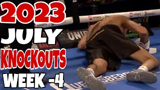 MMA & Boxing Knockouts I July 2023 Week 4