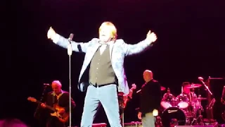 PETER NOONE   Im into something good. 24.4.19